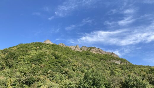 観音岩山（八剣山）の植物