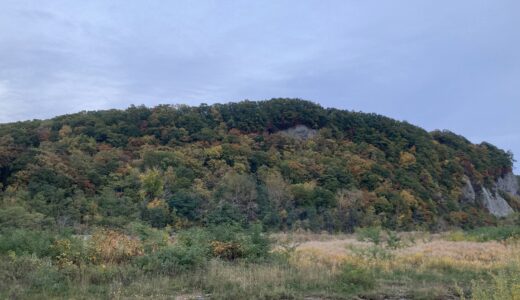 札幌市内の紅葉