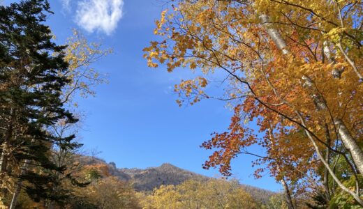 恵庭岳の紅葉info