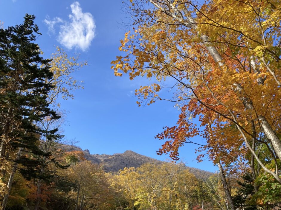 恵庭岳の紅葉