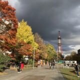 大通公園の紅葉