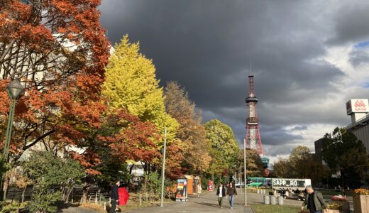 大通公園の紅葉