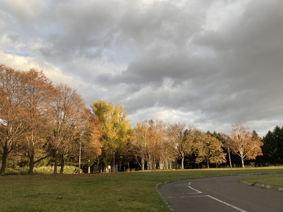 秋の紅葉の真駒内公園2